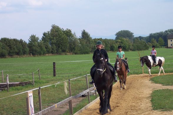 Reiten 2008 - 