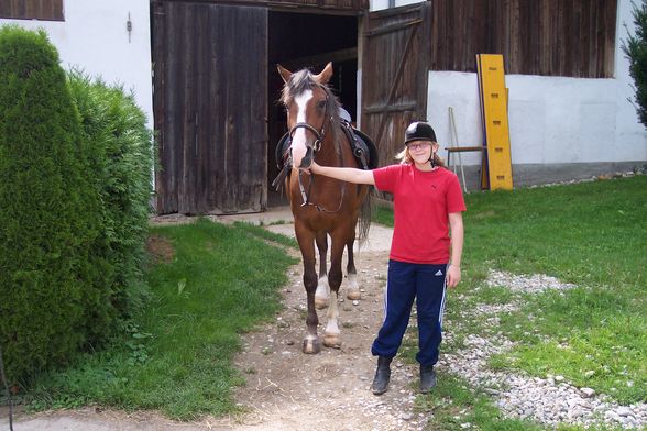 Reiten 2008 - 