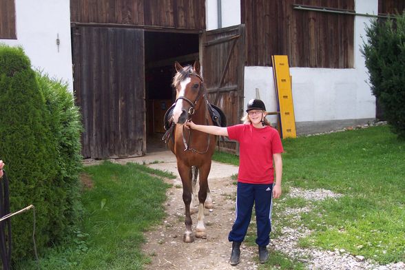 Reiten 2008 - 