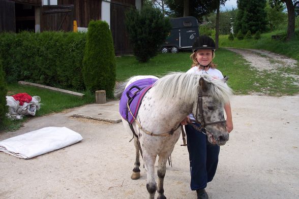 Reiten 2008 - 