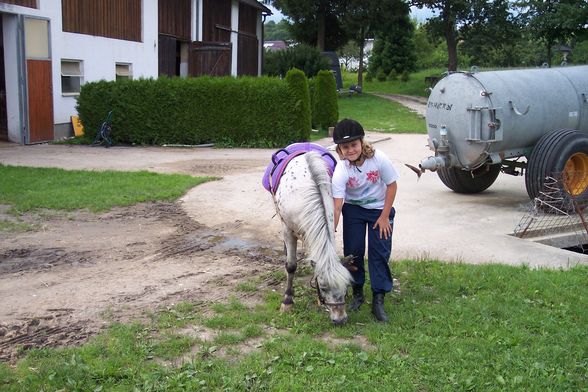 Reiten 2008 - 