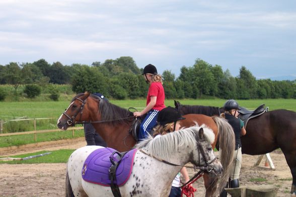 Reiten 2008 - 