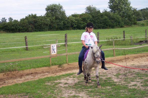 Reiten 2008 - 