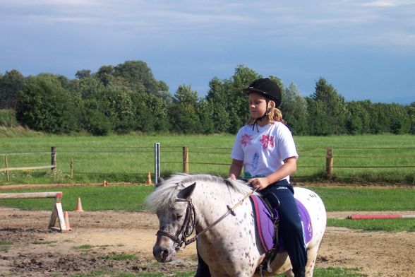 Reiten 2008 - 