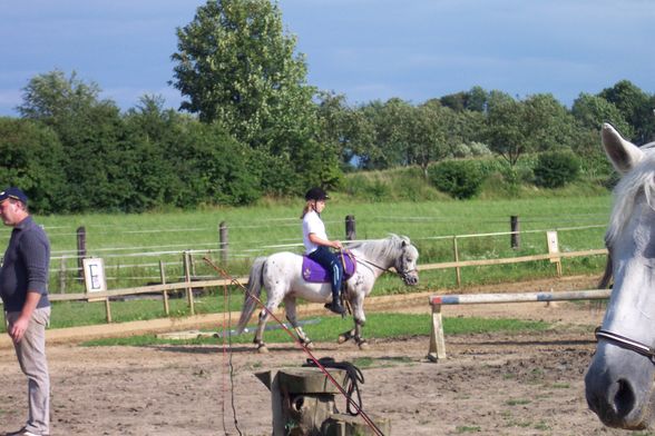 Reiten 2008 - 