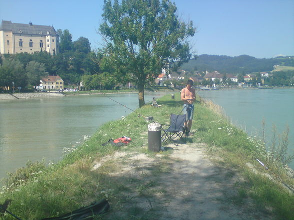 Fischen an der Dounau in Grein - 