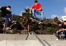 ryan sheckler - 