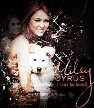 miley can't be tamed - 