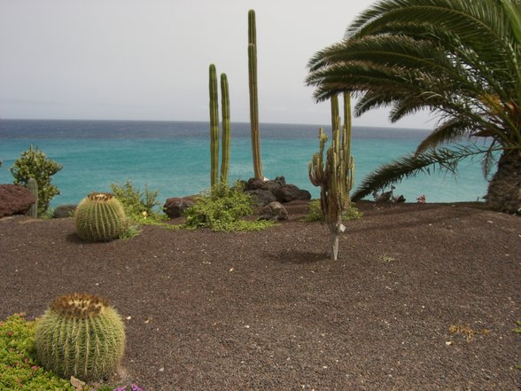 FUERTEVENTURA 2007 - 