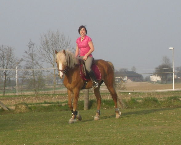 *-*ReiTeN*-* - 