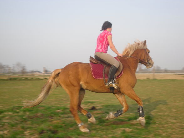 *-*ReiTeN*-* - 