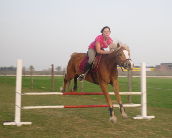 *-*ReiTeN*-* - 