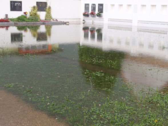 hochwasser in neuhofen - 