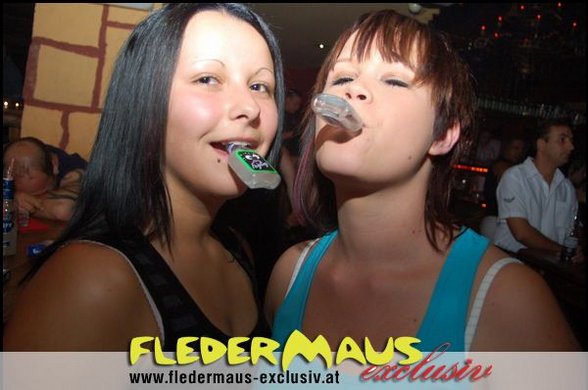 Fledermaus - 