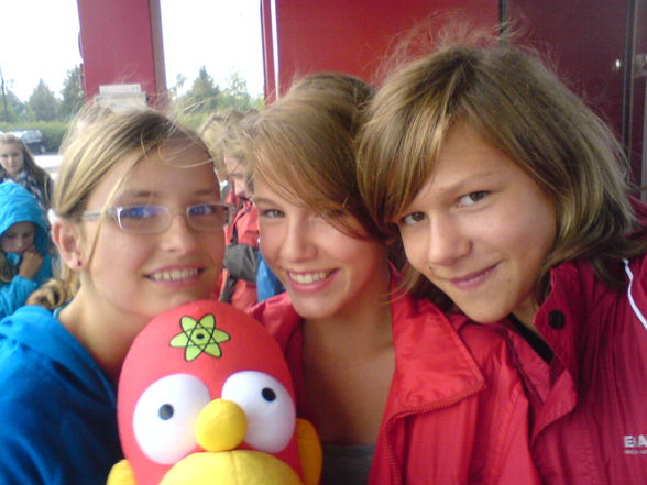 summer 2008 - 