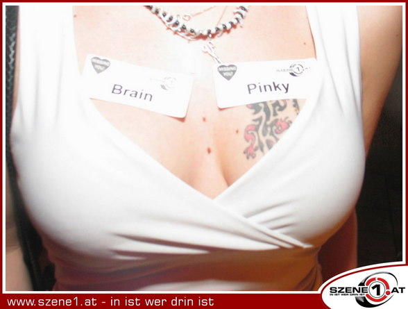 Szene1-Fotoalbum - 