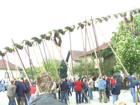 maibaum 09 - 