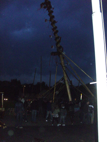 maibaum 09 - 