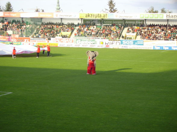 Salzburg-Ried 0-1 - 