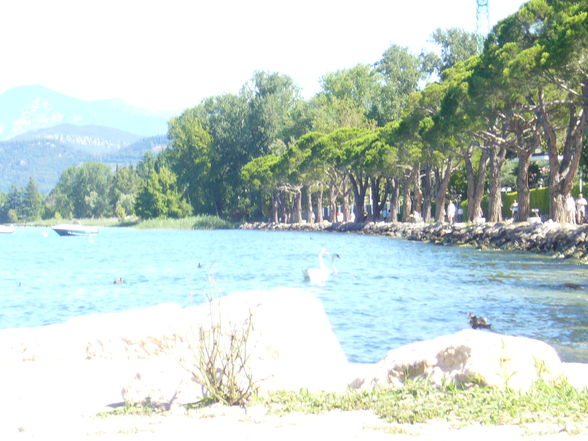 Gardasee 2008 - 