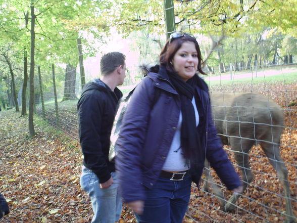 haager tierpark - 