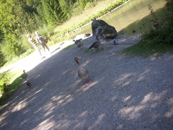 Wildpark Grünau am 1.9.2009 - 