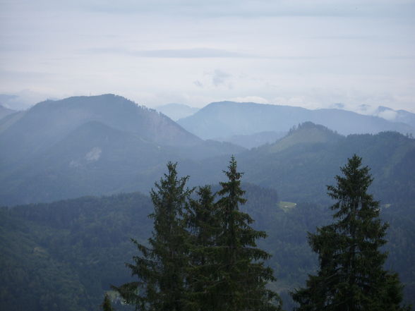 Wildpark Hochkreut 2.9.2009 - 