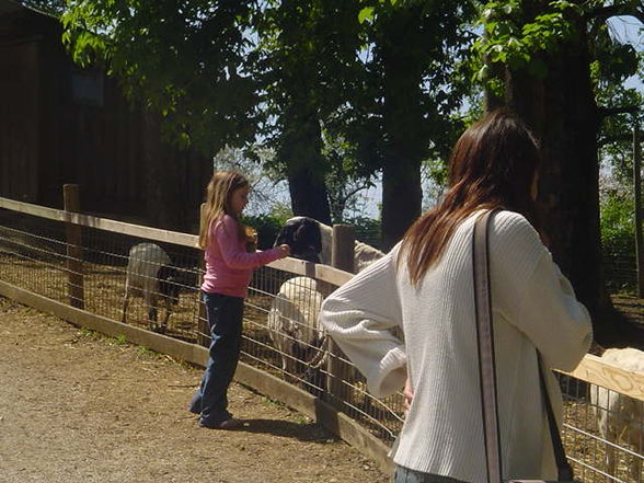 Ausflug Tierpark Haag 2008 - 