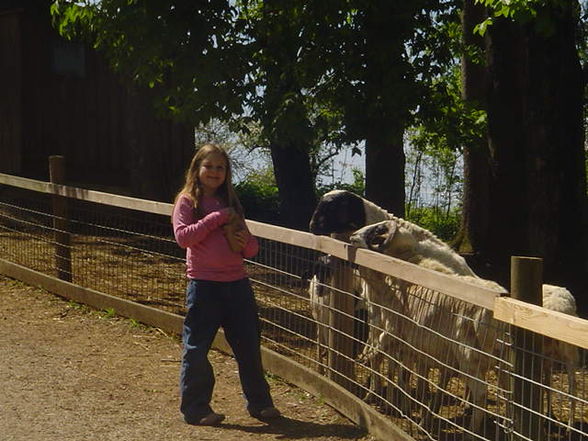 Ausflug Tierpark Haag 2008 - 