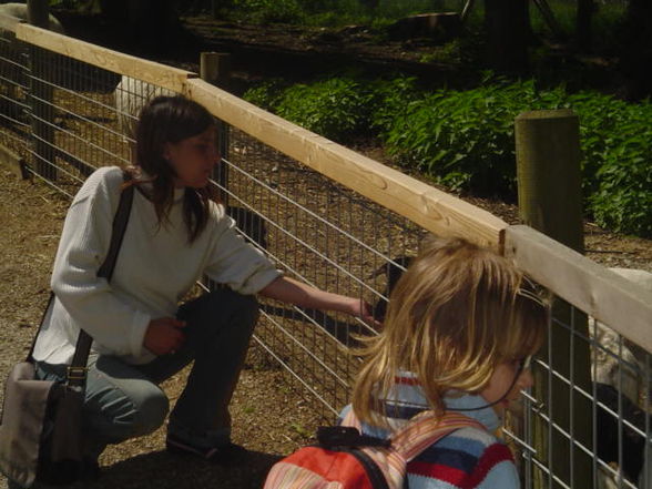 Ausflug Tierpark Haag 2008 - 