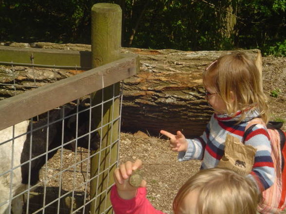 Ausflug Tierpark Haag 2008 - 