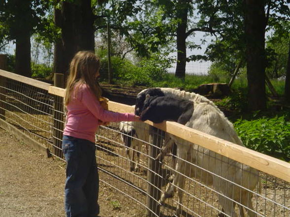 Ausflug Tierpark Haag 2008 - 