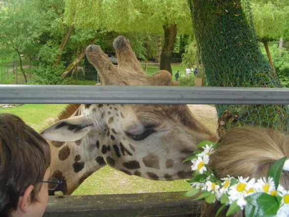 Tierpark Schmiding 2008 - 