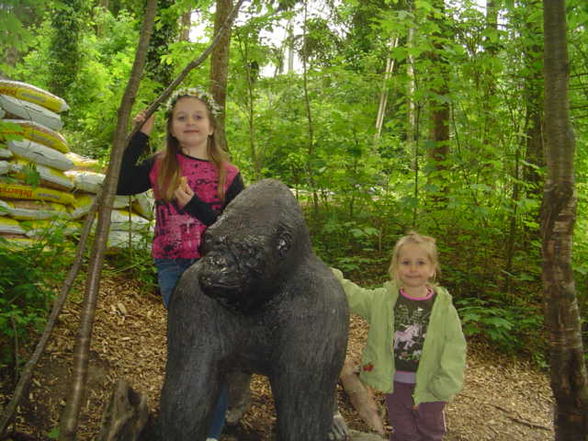 Tierpark Schmiding 2008 - 