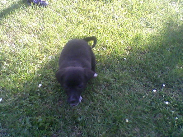 Meine kleine Kira! Aug. 2008 - 