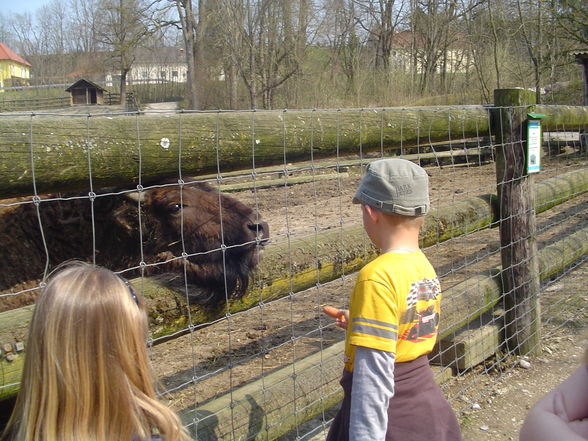 Ausflug Haag 2009 - 