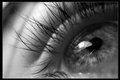 AugeN uND pLAYBoys.......! - 