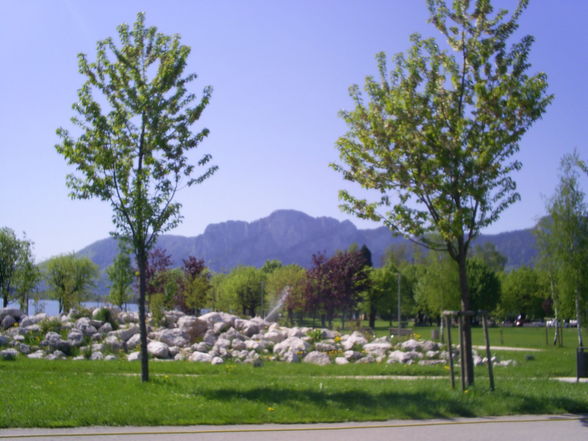 Natur - 