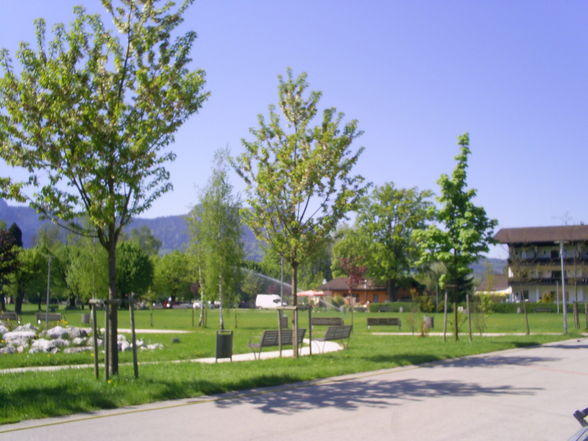 Natur - 