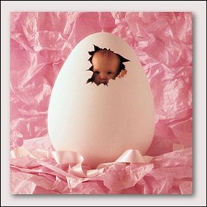 Anne Geddes - 