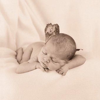 Anne Geddes - 