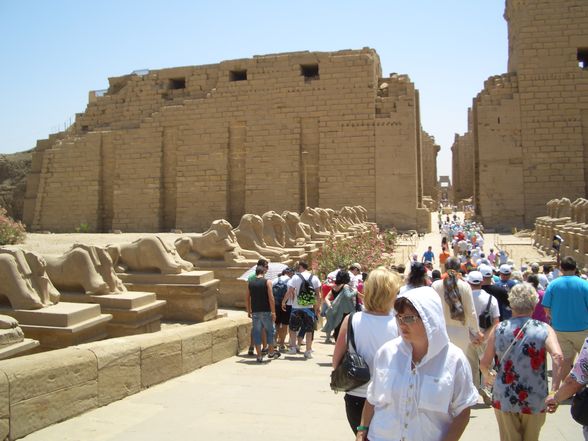 Ägypten2008 - 