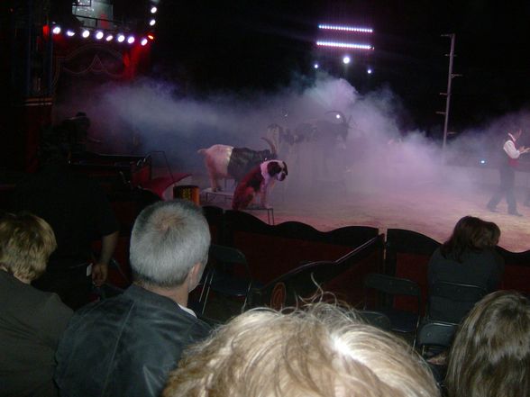 Circus Nationale - 