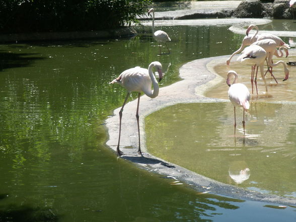 SchÖnBruNn - 