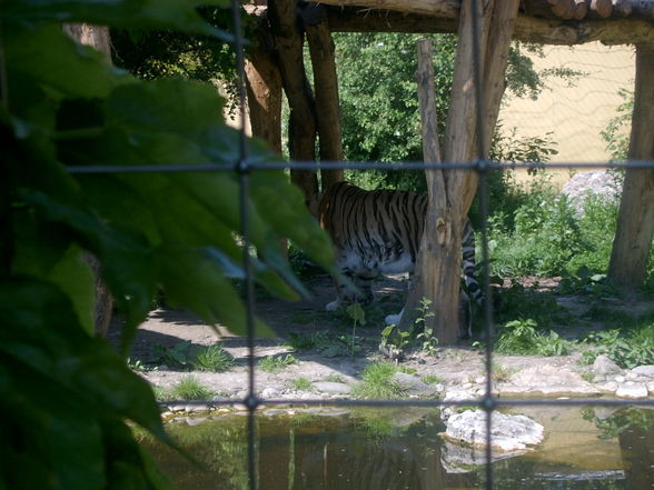 Ausflug Schönbrunn - 