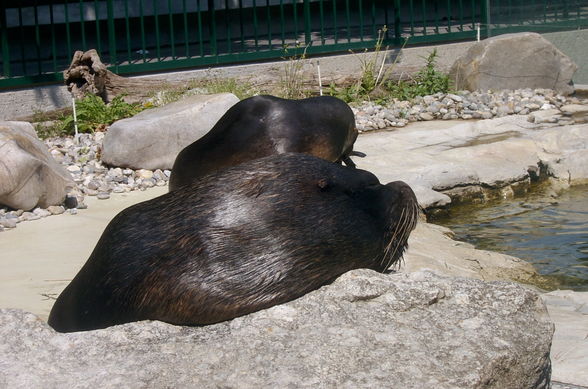 Ausflug Schönbrunn - 