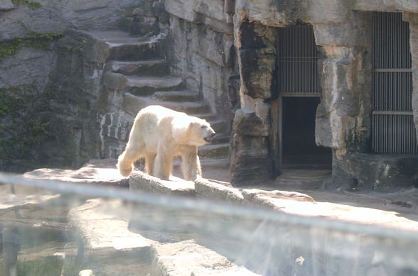 Ausflug Schönbrunn - 