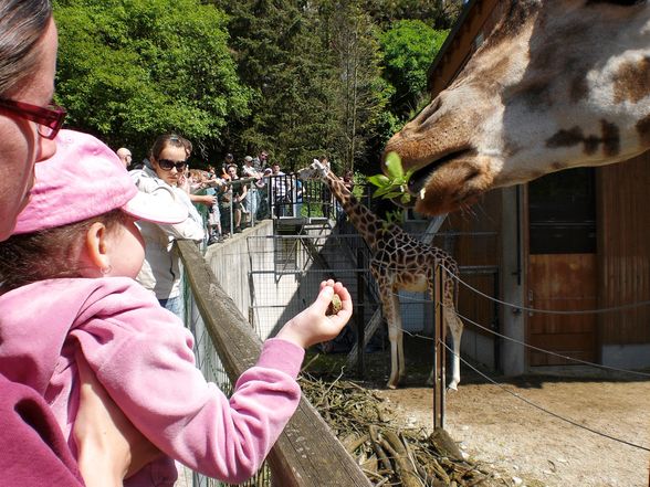 Ausflug im Tierpark Schmieding - 