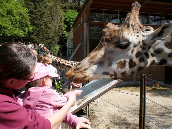 Ausflug im Tierpark Schmieding - 