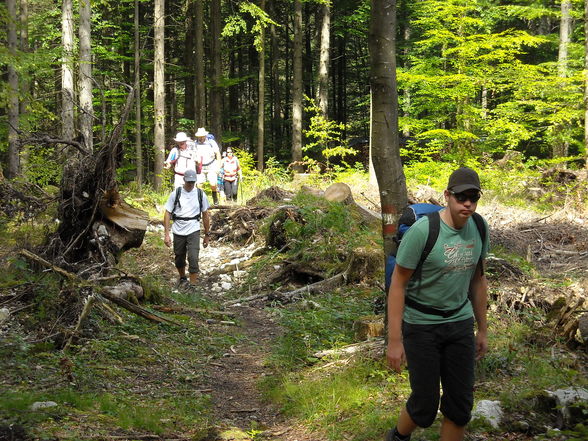 Betriebsausflug Höllengebirge - 